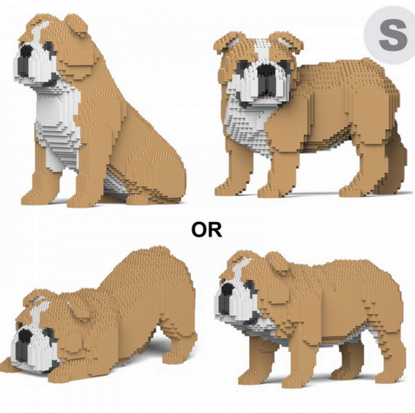 English Bulldog 4-in-1 Pack