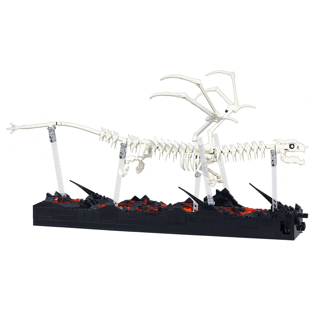 MOC-113673 Modell des Drachenskeletts