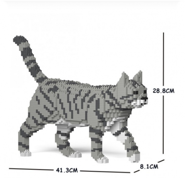 Katze laufend + grau/weiß