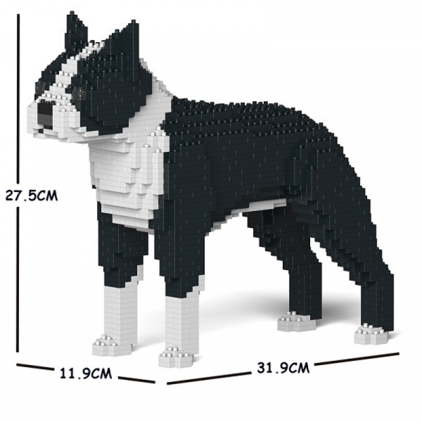 Boston Terrier