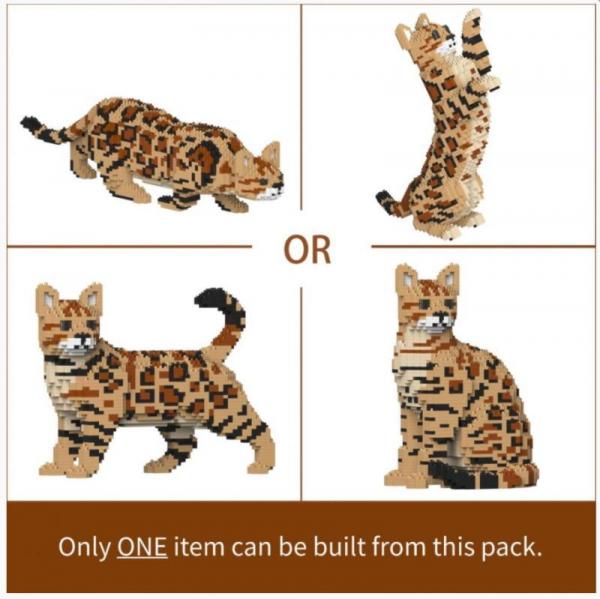 Bengalkatze 4-in-1 Pack