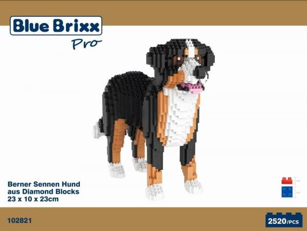 Berner Sennenhund (diamond blocks)