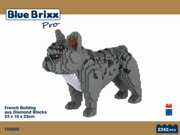 Französische Bulldogge, Hund (diamond blocks)