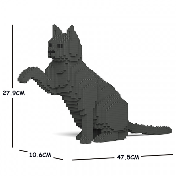 Katze  dunkelgrau + gibt Pfötchen