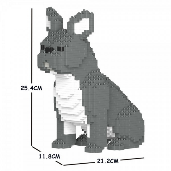 French Bulldog grey + sitting