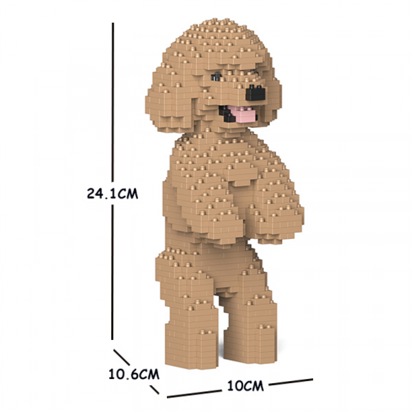 Toy Poodle standing + beige