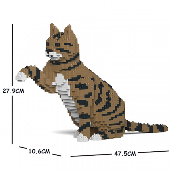 Katze  gibt Pfötchen + braun/schwarz/weiß