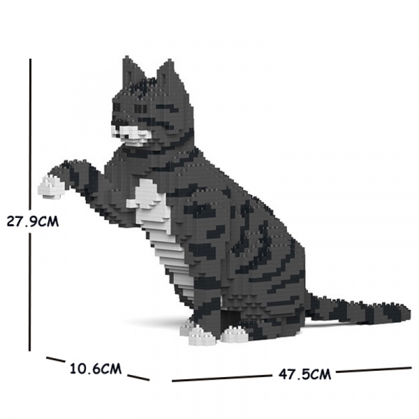 Katze  gibt Pfötchen + grau