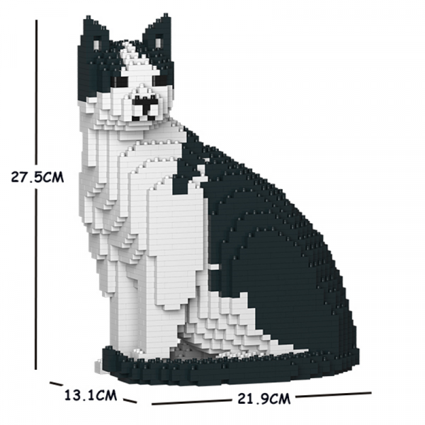 Katze schwarz & weiß + sitzend