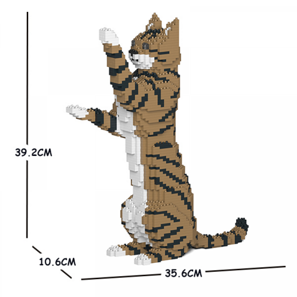 Katze braun/schwarz/weiß