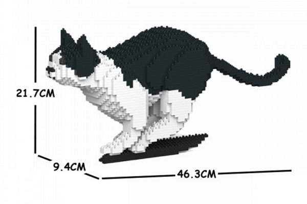 Katze  gescheckt schwarz/weiß