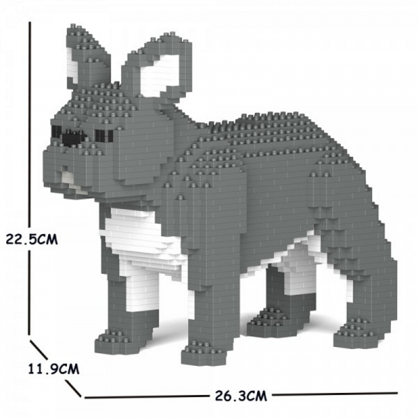 Französische Bulldogge  grau