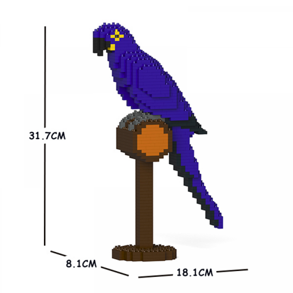 Hyacinth Macaw 01S