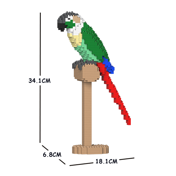 Green Cheek Conure 01S-M02