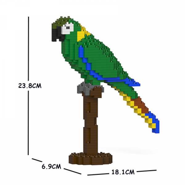 Yellow Collared Macaw 01S