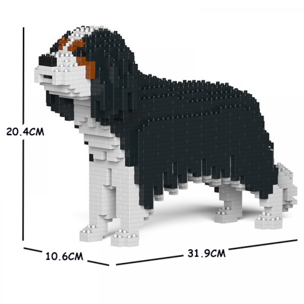 Cavalier King Charles Spaniel - Tricolour