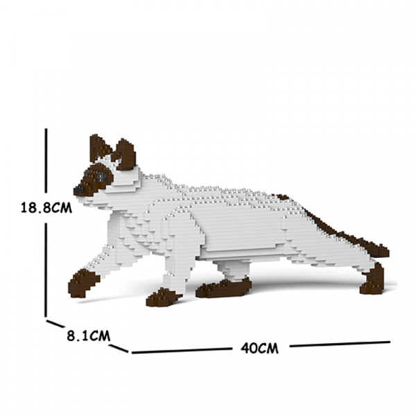 Siamesische Katze schleichend + weiß-braun