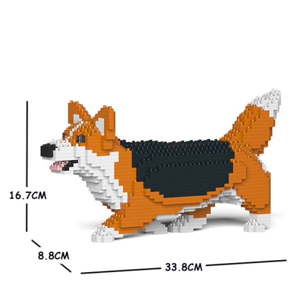 Welsh Corgi