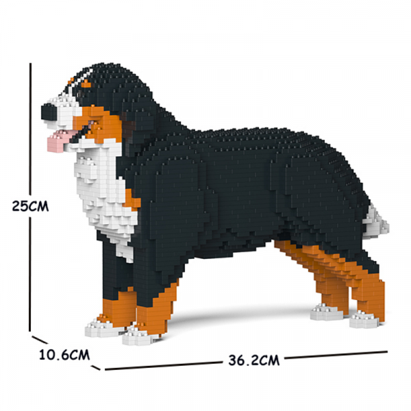 Bernese Mountain Dog 02S