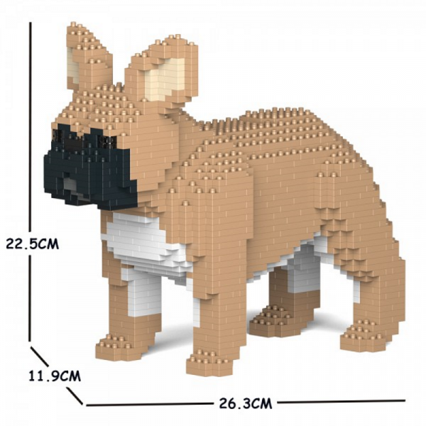 Französische Bulldogge  hellbraun