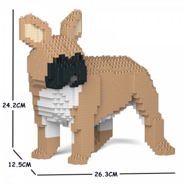 Französische Bulldogge hellbraun