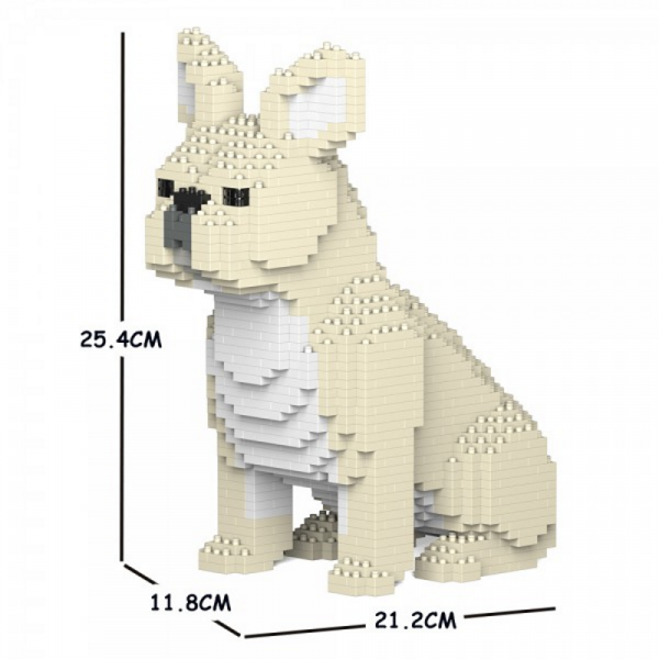 Französische Bulldogge  cremeweiß  + sitzend