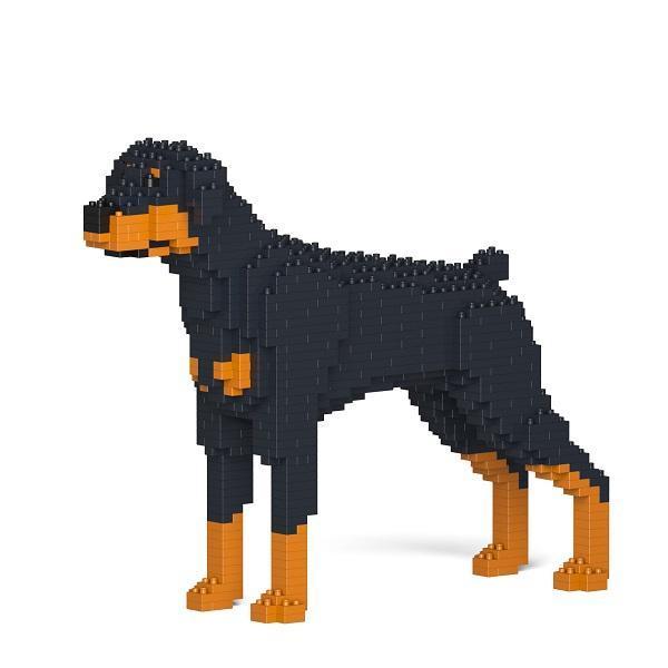 Doberman Pinscher (mit natürlicher Ohrenoption)