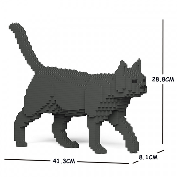 Katze dunkelgrau + laufend