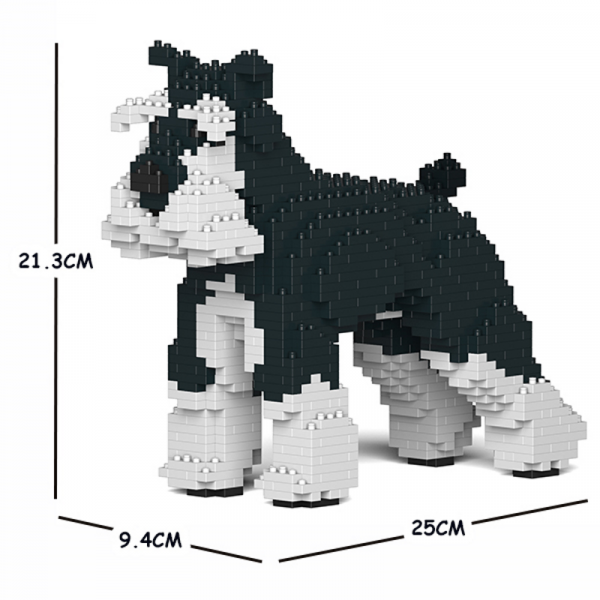 Standard Schnauzer schwarz-weiß