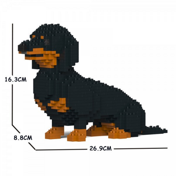 Dackel schwarz + sitzend