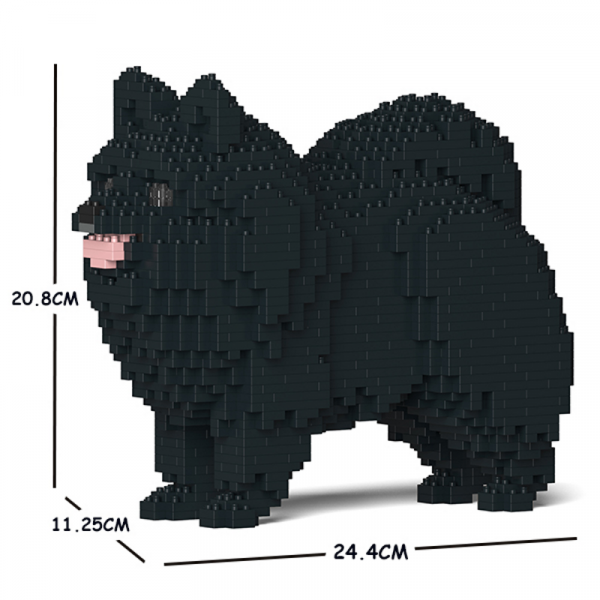 Pomeranian black