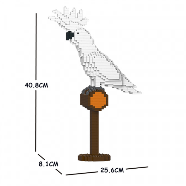 Umbrella Cockatoo 01S