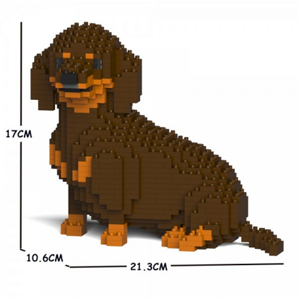 Dachshund  brown + sitting 2