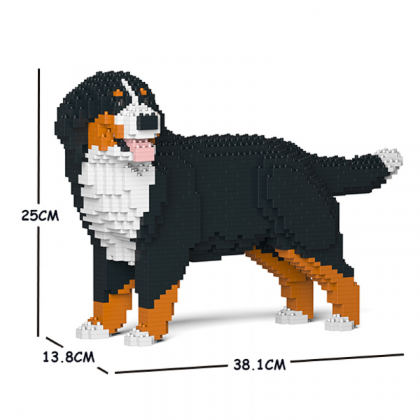 Berner Sennenhund 03S