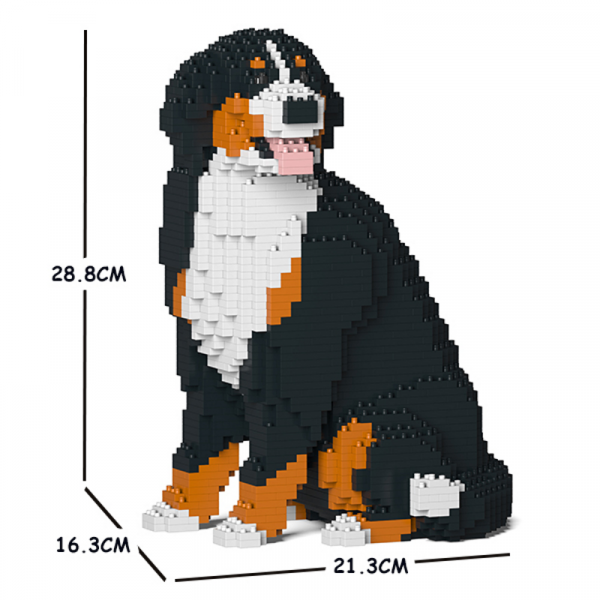 Berner Sennenhund 05S