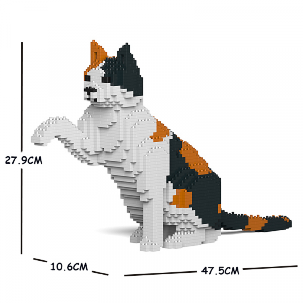 Katze Kalico + gibt Pfötchen