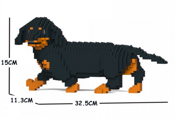 Dachshund  black + walking