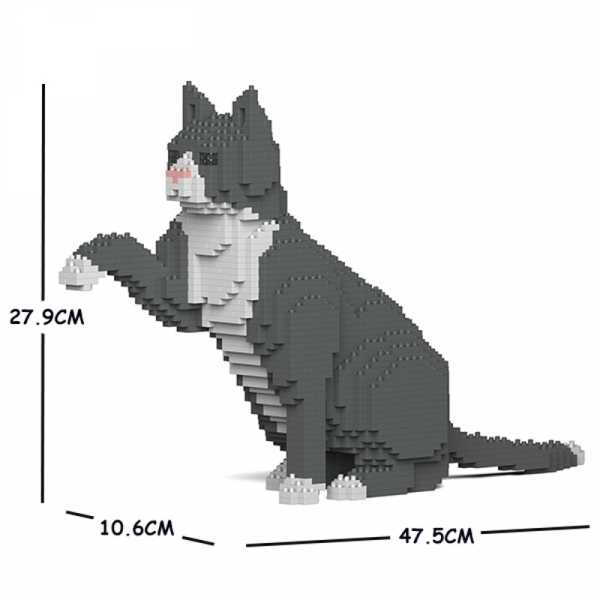 Grau/weiße Katze -  gibt Pfötchen