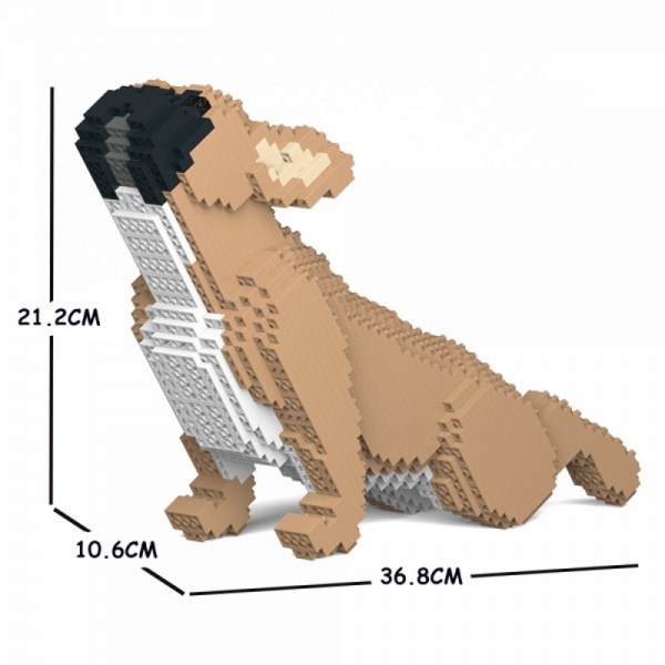 Französische Bulldogge hellbraun + streckend