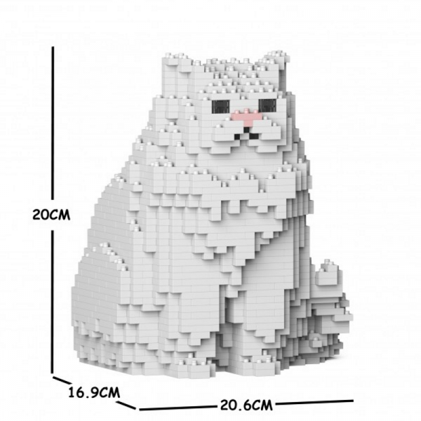 Persian Cat  white + sitting