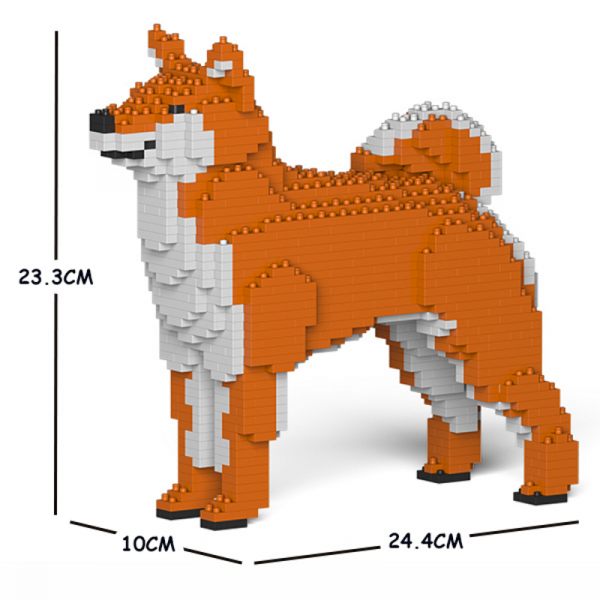 Shiba Inu orange-weiß