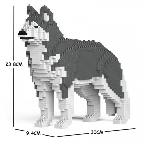 Husky weiß-grau