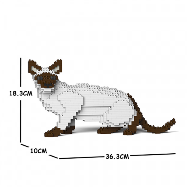 Siamesische Katze lauernd + weiß-braun