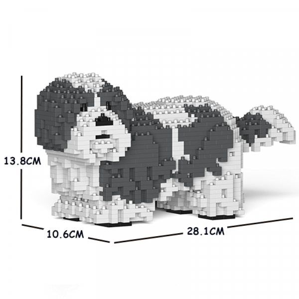 Shih Tzu weiß-grau