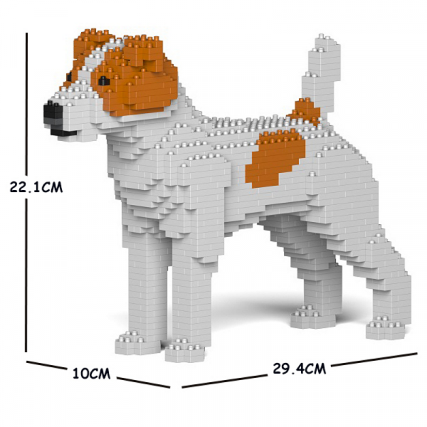 Jack Russell Terrier weiß-orange