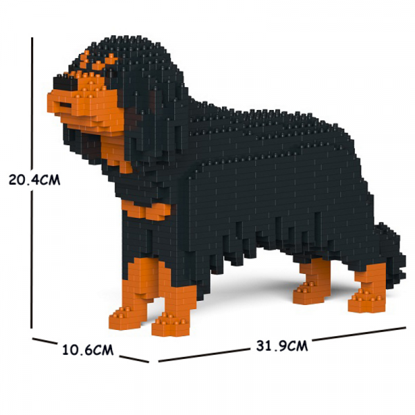 Cavalier King Charles Spaniel - Schwarz und Tan