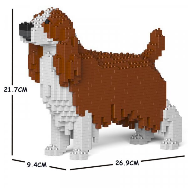 English Springer Spaniel