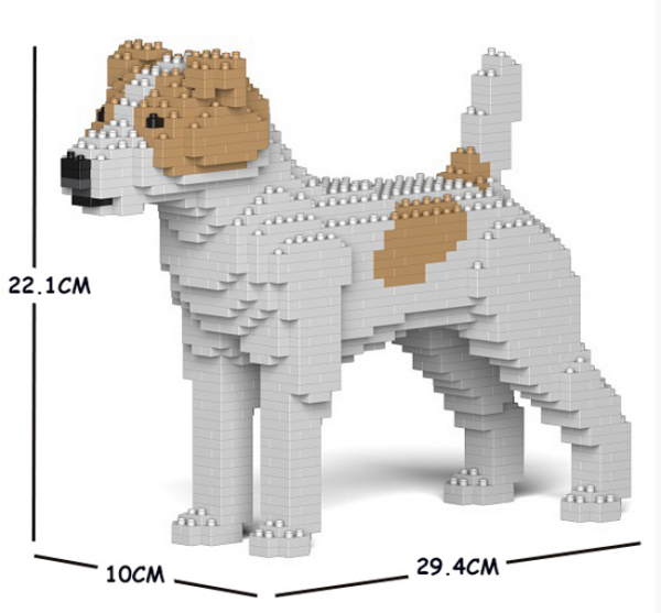 Jack Russell Terrier white-beige