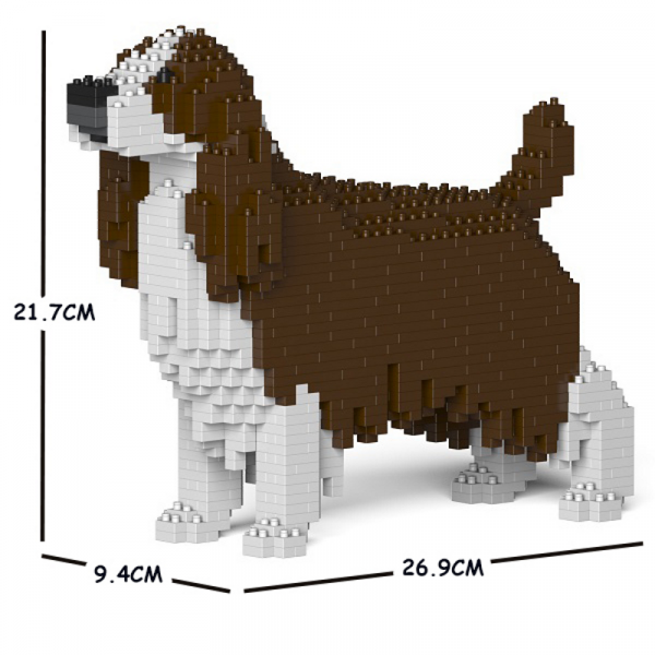 English Springer Spaniel braun-weiß