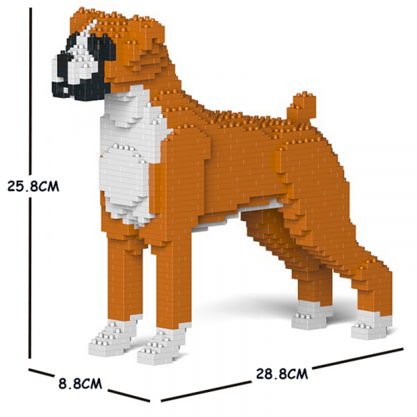 Boxer orange-weiß